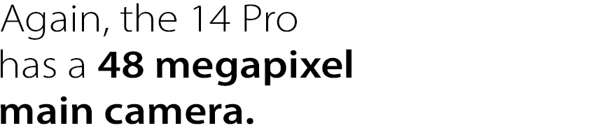 Again, the 14 Pro has a 48 megapixel main camera.